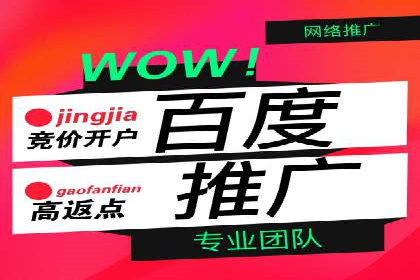 sem竞价托管代运营的五大经典案例